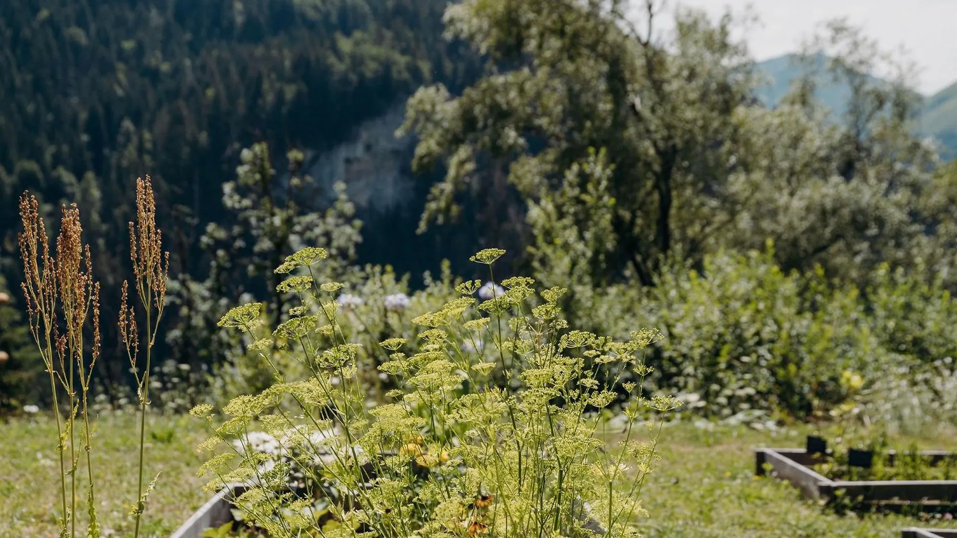 Bed & Breakfast Chalet Flachaire Abondance Frankrijk