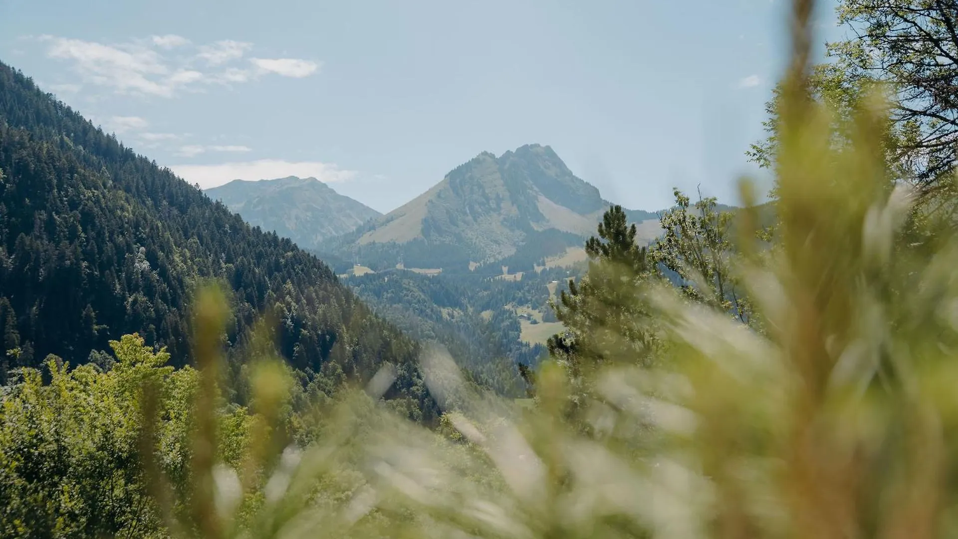 Bed & Breakfast Chalet Flachaire Abondance